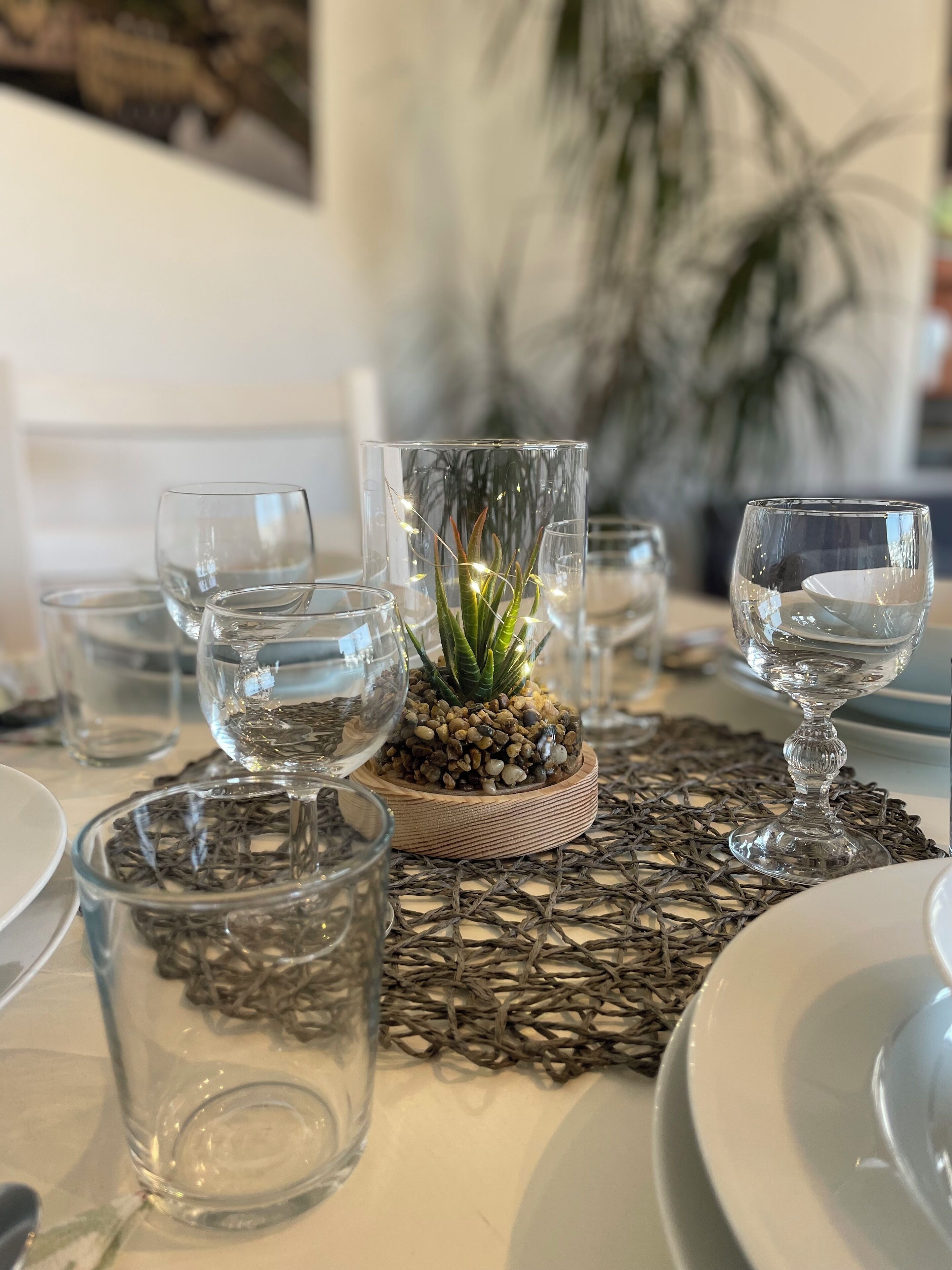 Une table à manger avec de la vaisselle en verre transparent, une petite plante en pot et un set de table en fibres tressées.