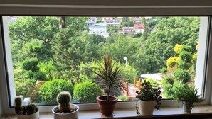 Une fenêtre donnant sur un quartier résidentiel, avec un garde-corps en bois et diverses plantes en pot disposées sur le rebord de la fenêtre.