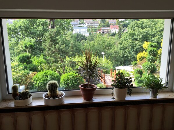 A window with a view of a residential area, a wooden railing, and various potted plants on the windowsill.