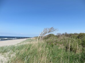In Strandnähe