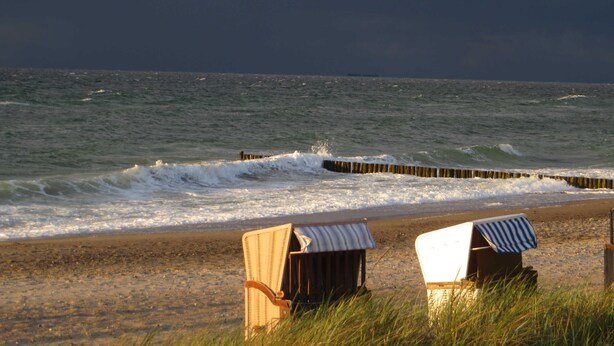 Strand