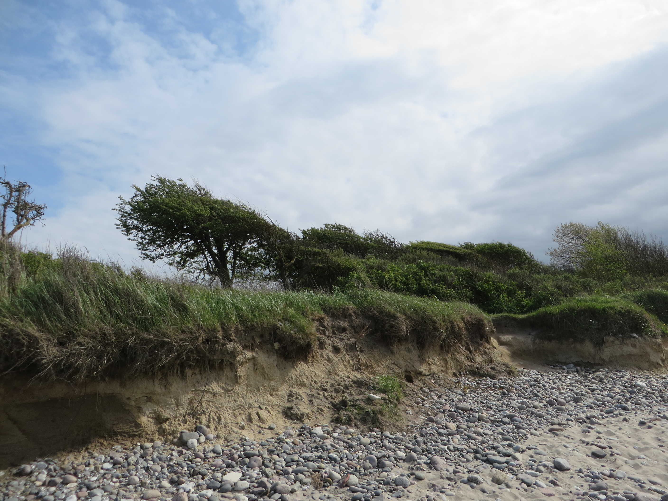 A natural landscape with a riverbank, pebbles, and sparse vegetation.