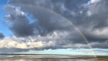 Una spiaggia nelle vicinanze, lettini da mare