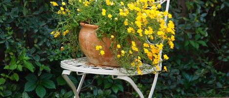 Una silla metálica blanca con una maceta que contiene flores amarillas.