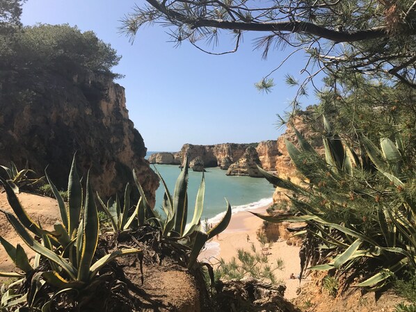 Plage à proximité, chaise longue, serviettes de plage