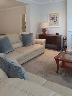 Smart TV, chimenea, reproductor de DVD y estéreo 