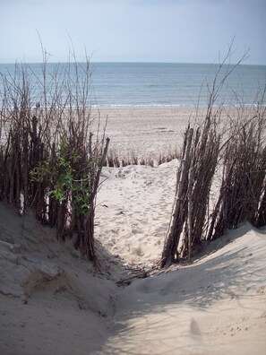 Vlak bij het strand