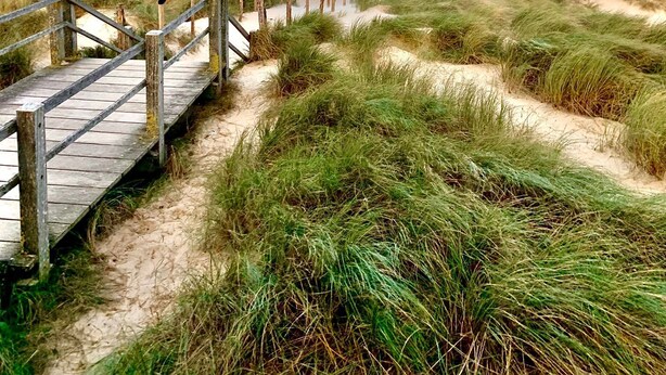 A wooden boardwalk leading to a beach with dunes and a view of the ocean. - Directly behind the dunes in the Fabiola Beach Park (Wenduine)