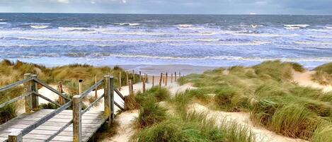 Playa en los alrededores