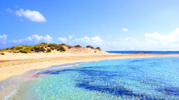 Plage, chaises longues