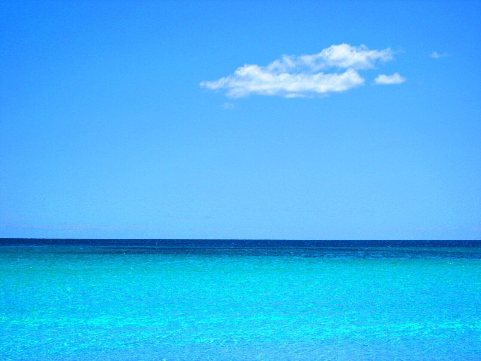 Un ciel bleu et dégagé et une mer calme.