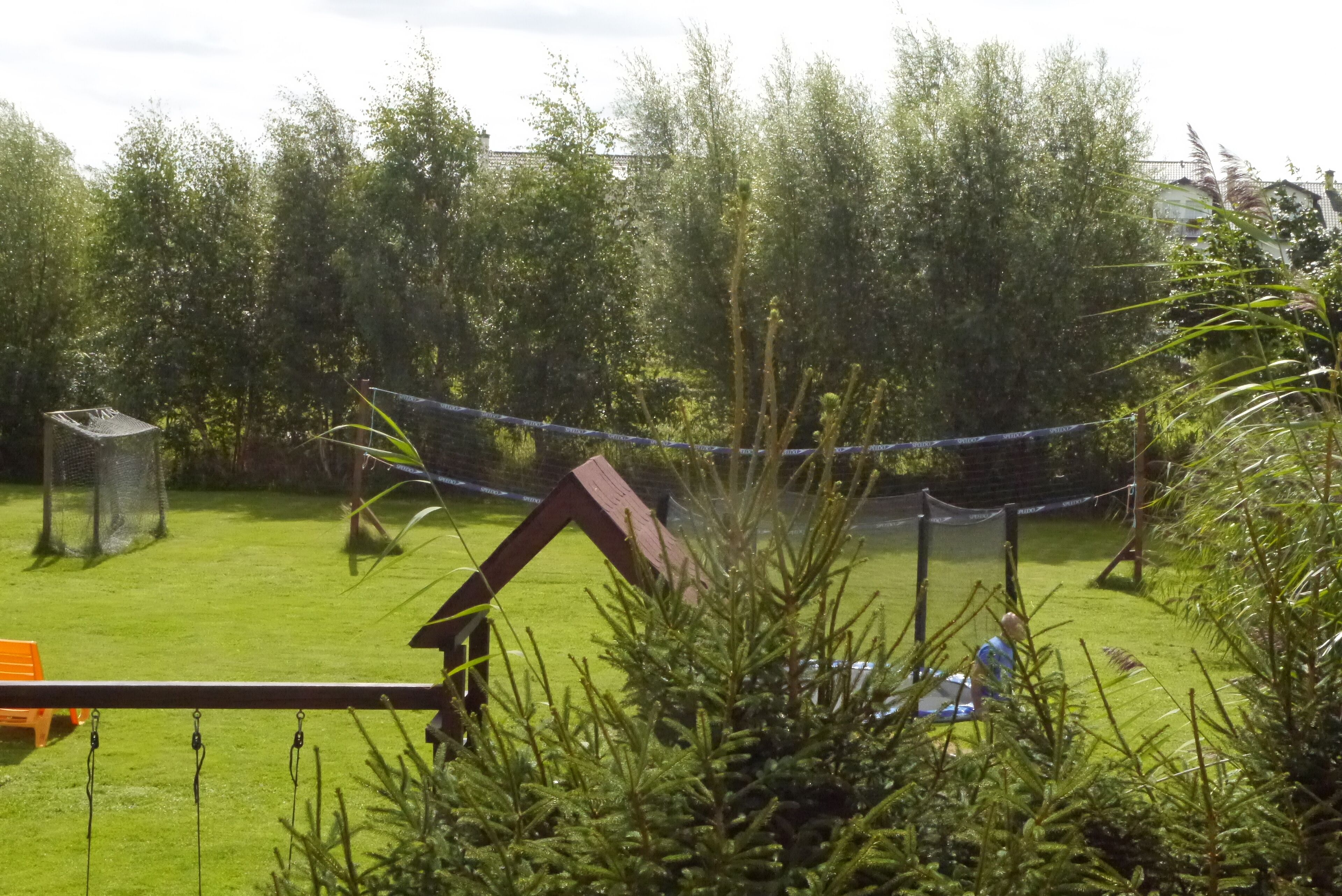 A fenced outdoor area with a grassy lawn, a wooden structure, and a netted enclosure.