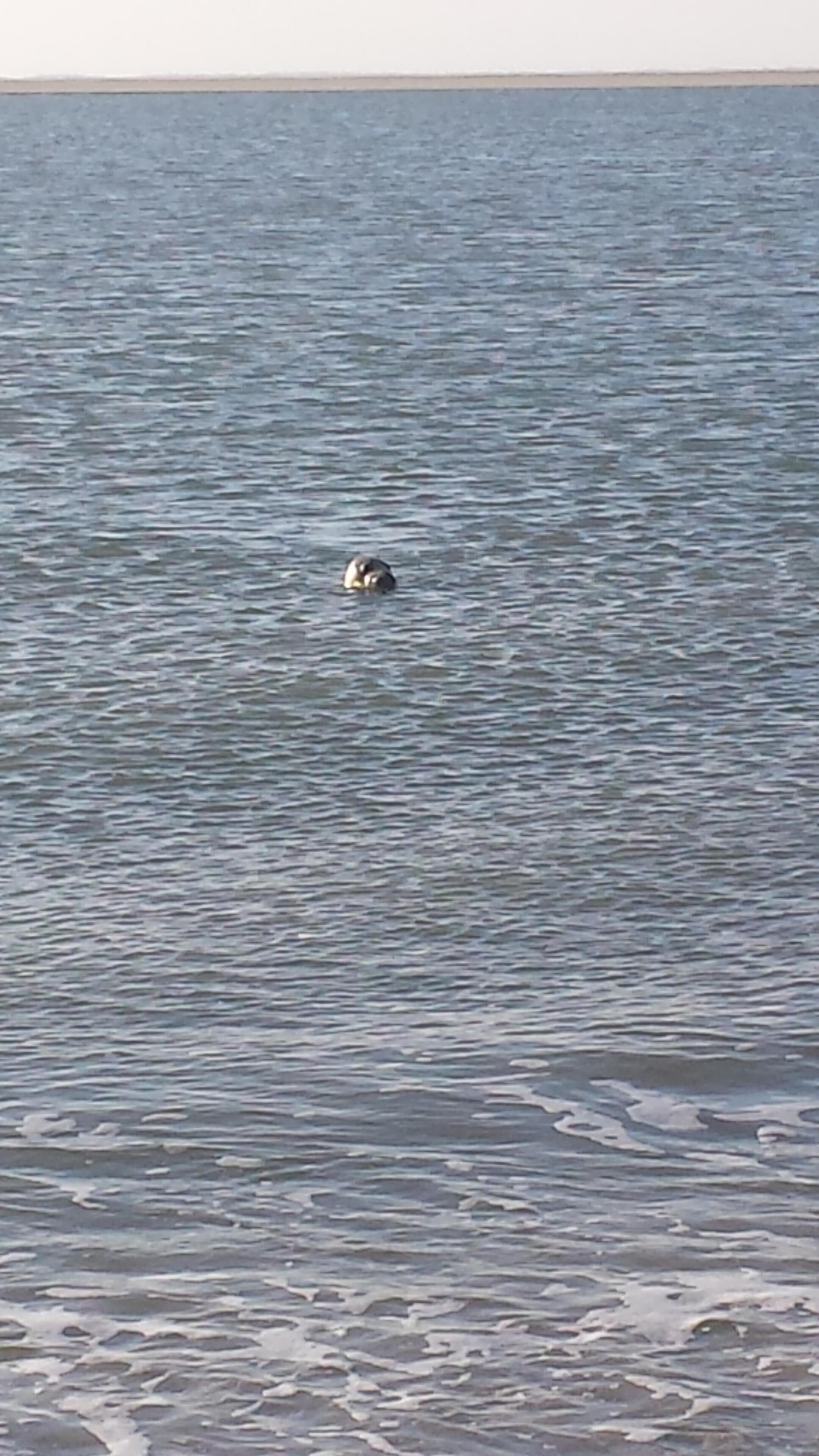A calm sea with a small boat in the distance.
