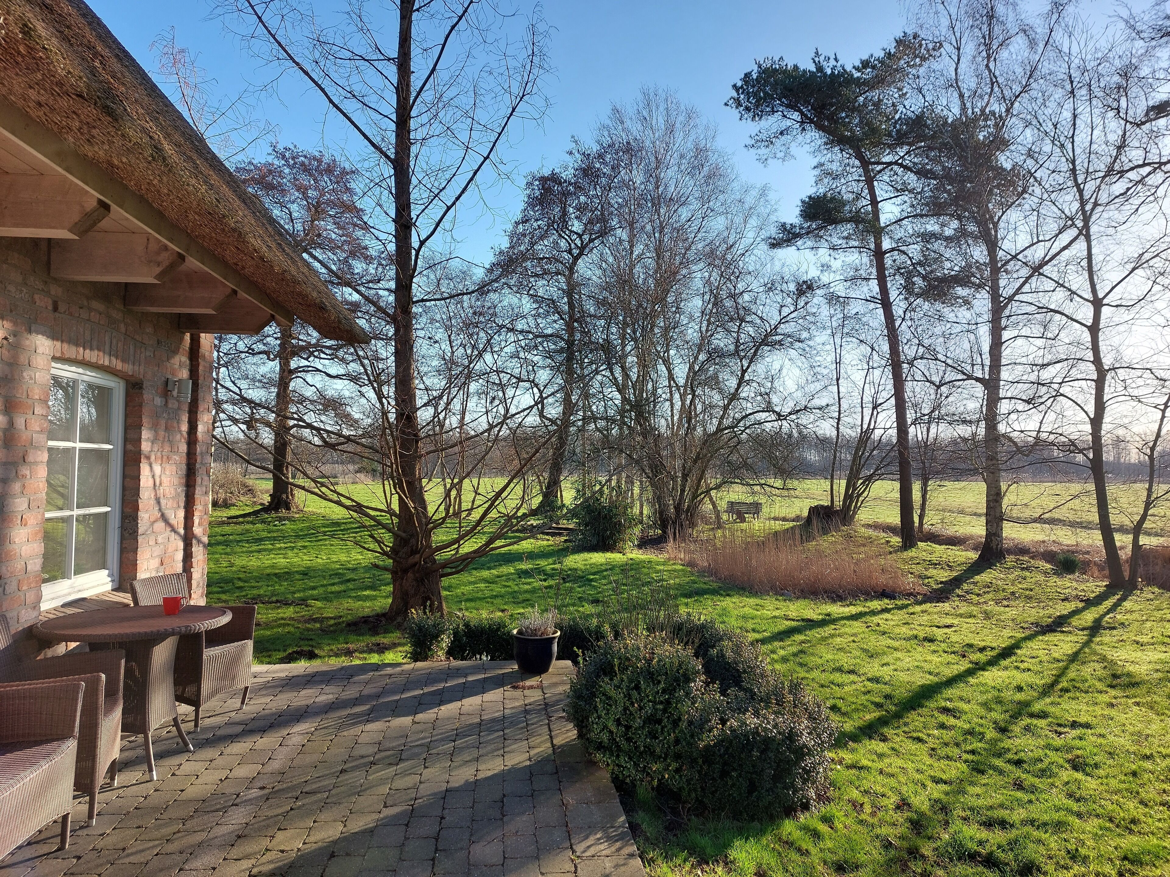 Eine Terrasse mit Tisch und Stühlen, einem Blumentopf und einer Bank in einer grünen Wiese, im Hintergrund Bäume.
