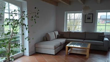 Smart-TV, Kamin, Bücher, Stereoanlage