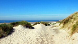 A sandy beach path with dunes and a clear blue sky.