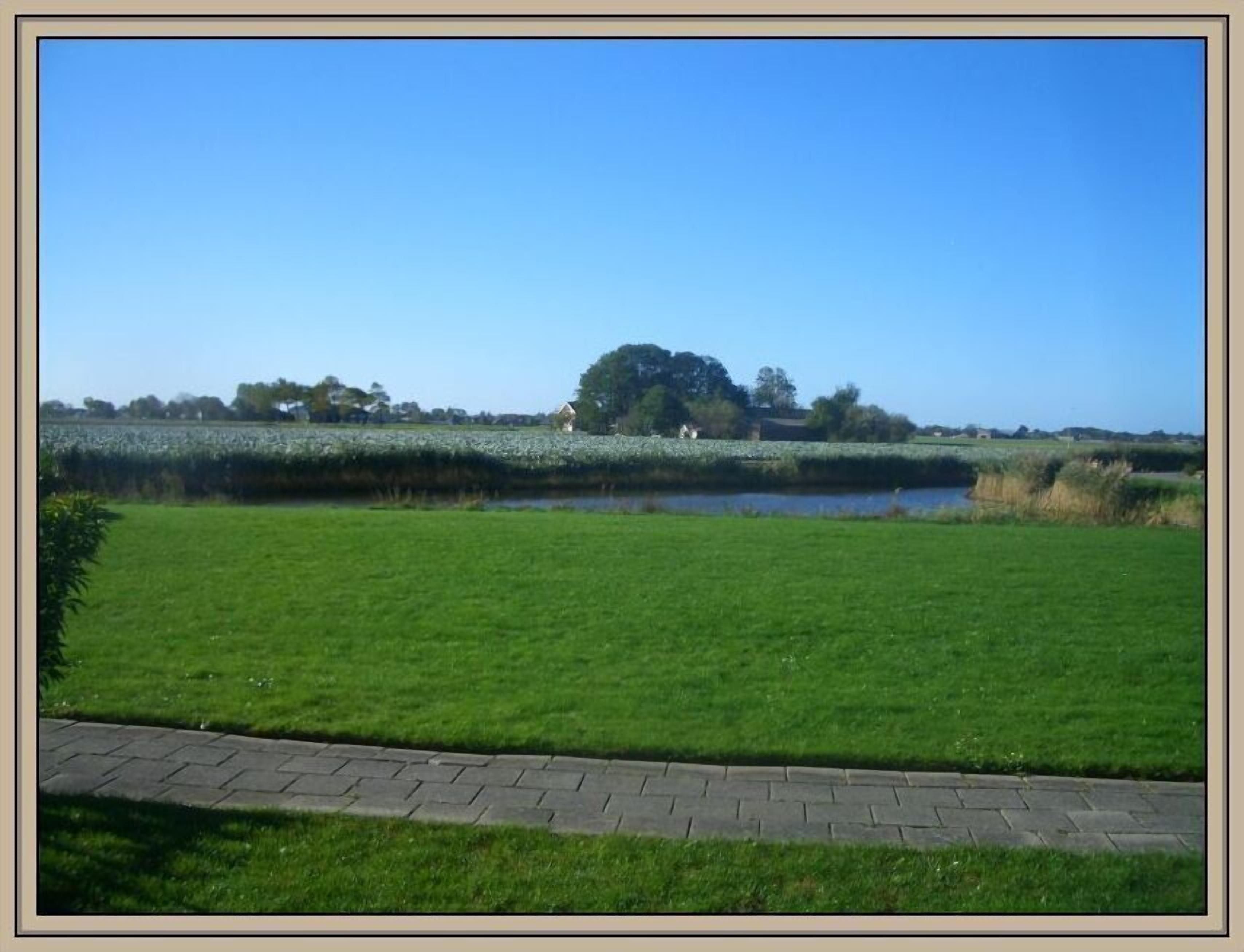A pathway leading to a grassy field with a water body and trees in the background.