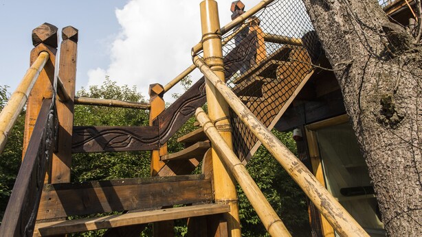 A wooden structure with a rope bridge and a netted enclosure, likely part of an outdoor attraction or park. - Apartment Casa Casimir with Elbe view balcony & large garden (for soccer/volleyball) (Dresden)