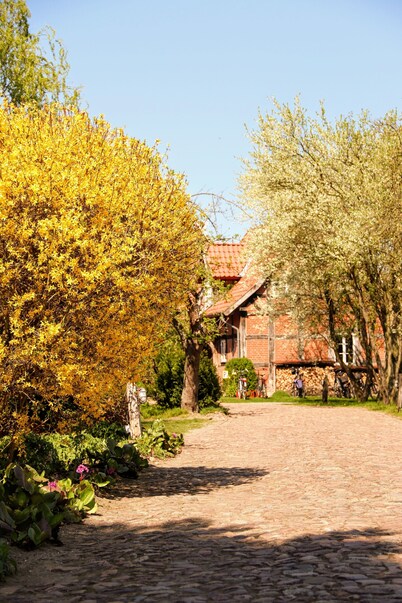 **** Holiday home in the idyllic Hoyerhagen farm garden