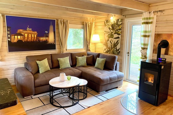 TV, fireplace, books