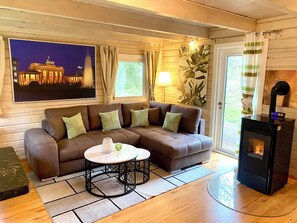 TV, fireplace, books