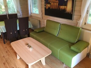 TV, fireplace, books