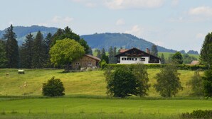 A rural landscape with a large house surrounded by a fenced field, a smaller wooden building, and a mountain in the background. - Apartment with panoramic views (Halblech)