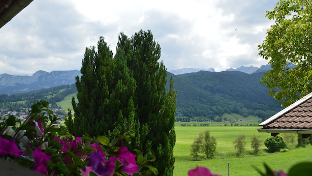 A view of a rural landscape with mountains, a green field, and a building with a tiled roof. - Apartment with panoramic views (Halblech)