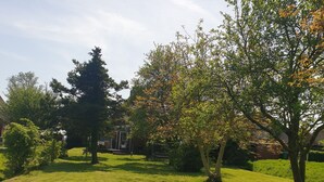 Property grounds - To get my head clear! Cozy cottage in Ditzum, large garden, dogs ok! (Ditzum)