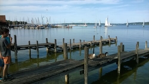 Renovierte, charmante, große, sehr ruhige Wohnung mit Südbalkon in Landhausvilla