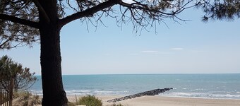 Historic town house roof terrace only 9 km to sandy beach - Vive la France