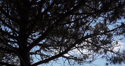Historisches Stadthaus Dachterrasse nur 9 km bis Sandstrand - Vive la France