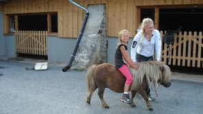 Una mujer y un niño montando un pony.