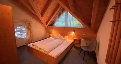 comfortable apartment with view of the skiing region