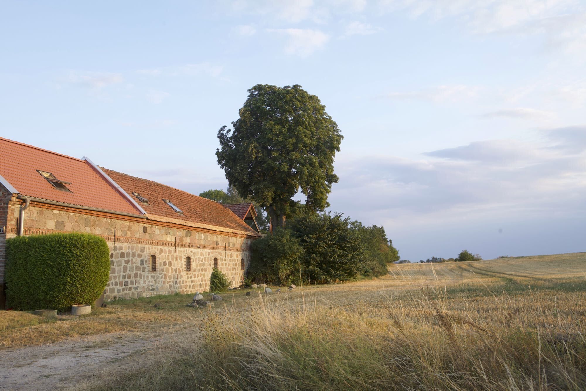 Een gebouw van steen met een rood dak, omringd door een grasveld en een grote boom.