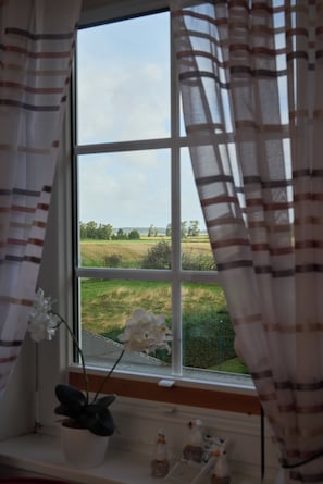 A window with a view of a field and trees, curtains, and a potted plant with flowers.