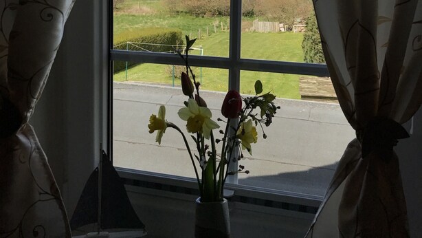 A window with a view of a rural landscape, a vase with flowers, and curtains with a leaf pattern. - Vacation, rest and relaxation in a relaxing natural (Rappin OT Helle)