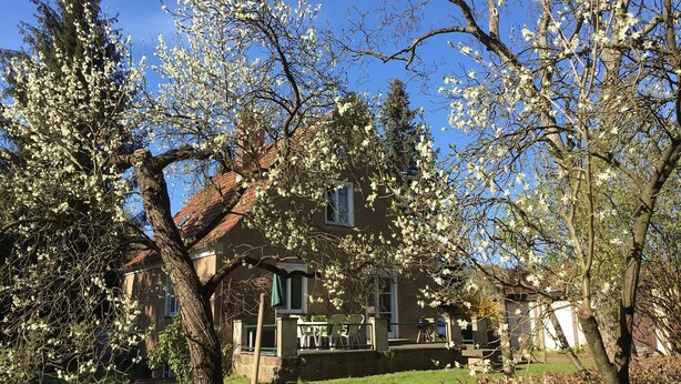 Une maison avec un jardin, une pelouse et un patio aménagé avec du mobilier d’extérieur.