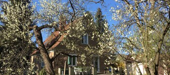 Vacation home on the outskirts of Dresden, 3 km to Pillnitz Castle/incl. WLAN