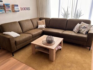 Televisión, reproductor de DVD y libros 