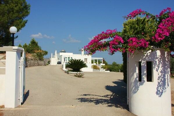 A white building with a paved driveway and a large bush in the center.