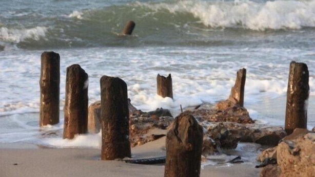 A beach with wooden posts and rocks in the foreground. - 5min beach & forest, sunny, single storey (Prerow)