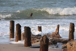 A beach with wooden posts and rocks in the foreground. - 5min beach & forest, sunny, single storey (Prerow)
