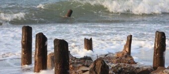 5min beach & forest, sunny, single storey
