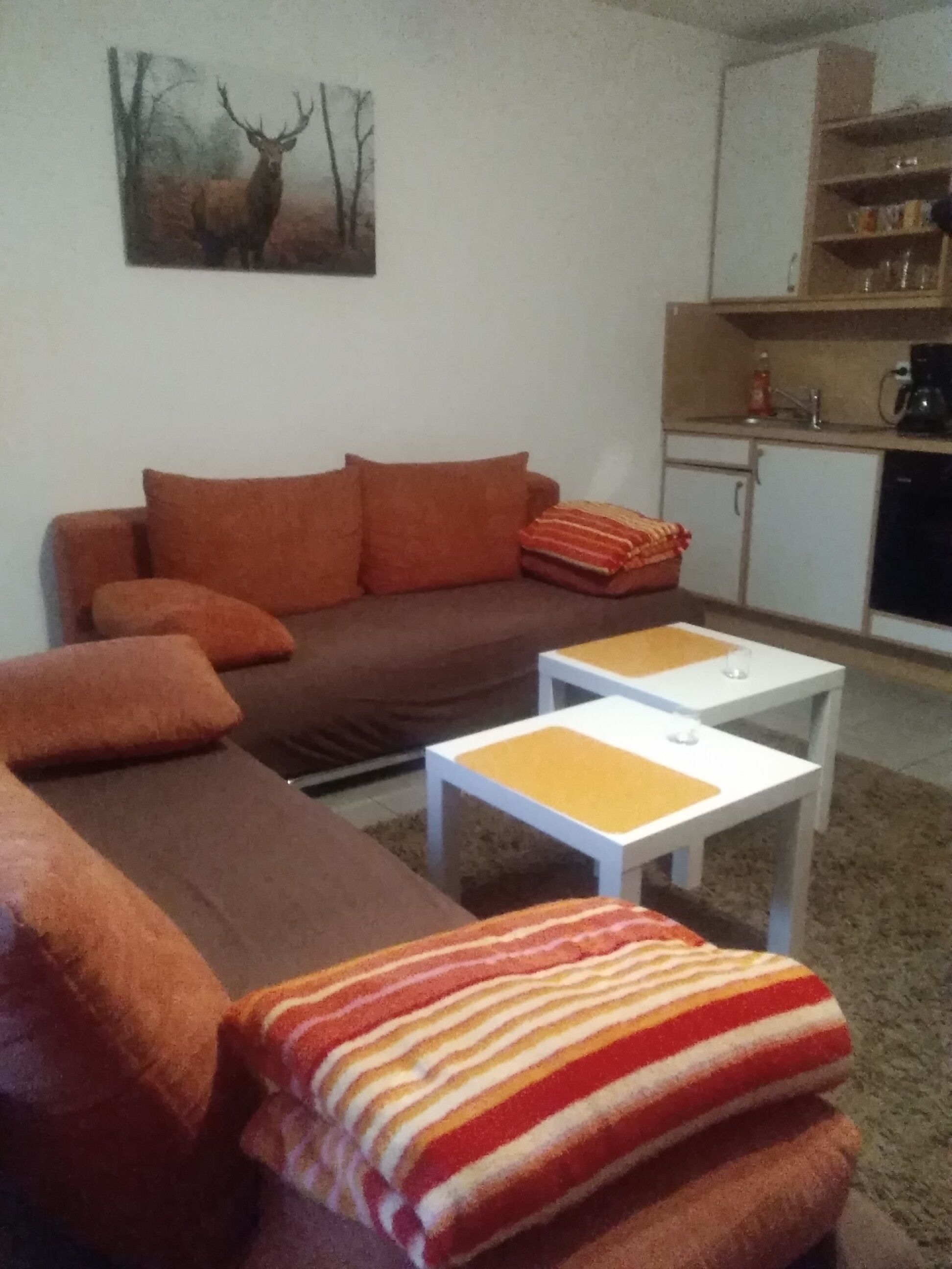 Directly on golf court, swimming pool and sauna, pets welcome