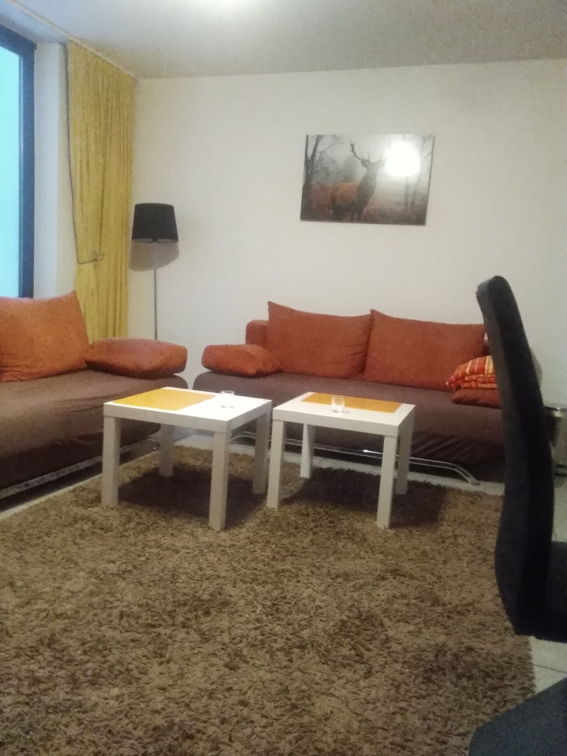 Directly on golf court, swimming pool and sauna, pets welcome