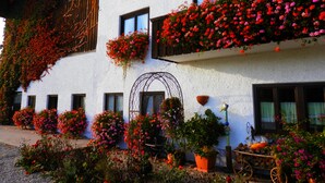 Ein weißes Gebäude mit vielen Fenstern, einige davon mit Blumenkästen, die rote und rosa Blumen enthalten. Auf dem Boden stehen Blumentöpfe und ein kleiner Schubkarren.