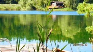 Un muelle de madera se extiende sobre un lago tranquilo con una cabaña al fondo, rodeada de abundante vegetación.