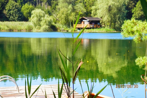 Buchsee