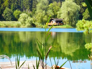 Un muelle de madera se extiende sobre un lago tranquilo con una cabaña al fondo, rodeada de abundante vegetación.